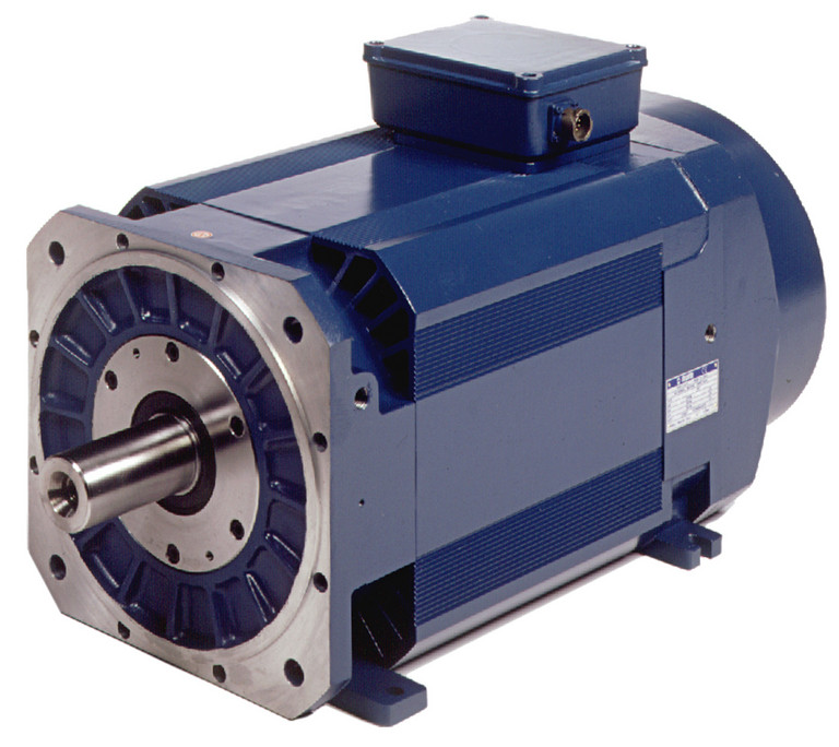 AMS series motor